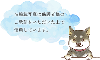 掲載写真は保護者様の承諾をいただいています